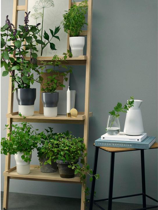 Produktbild Eva Solo Glas (0.48 l, 1 x)