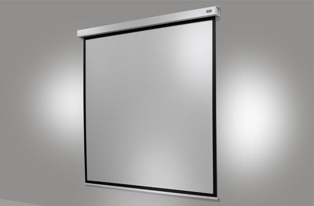 Productafbeelding Celexon Motor Professional Plus (167", 1:1)