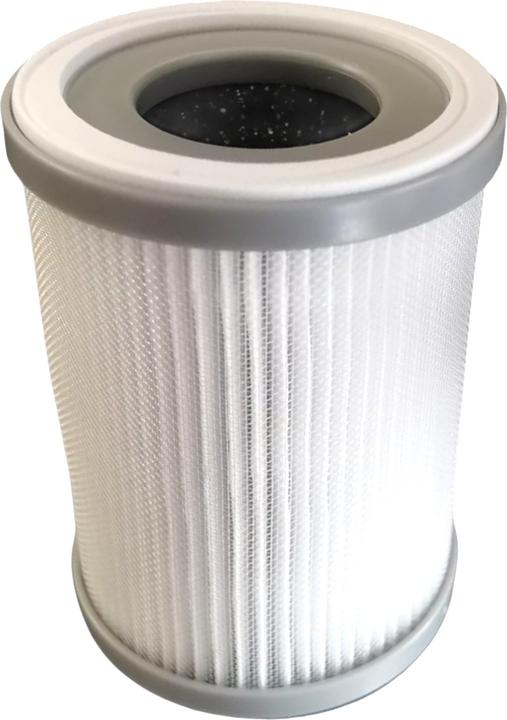 toGo Filter Luftreiniger to-go (1 x)