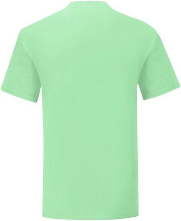 Actual product image Fruit of the Loom UTBC4769 P (L)