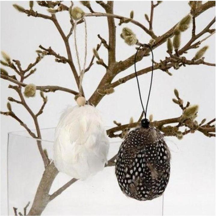 Actual product image Creativ Company Ei (5 x, 6 x 10 x 20 cm)