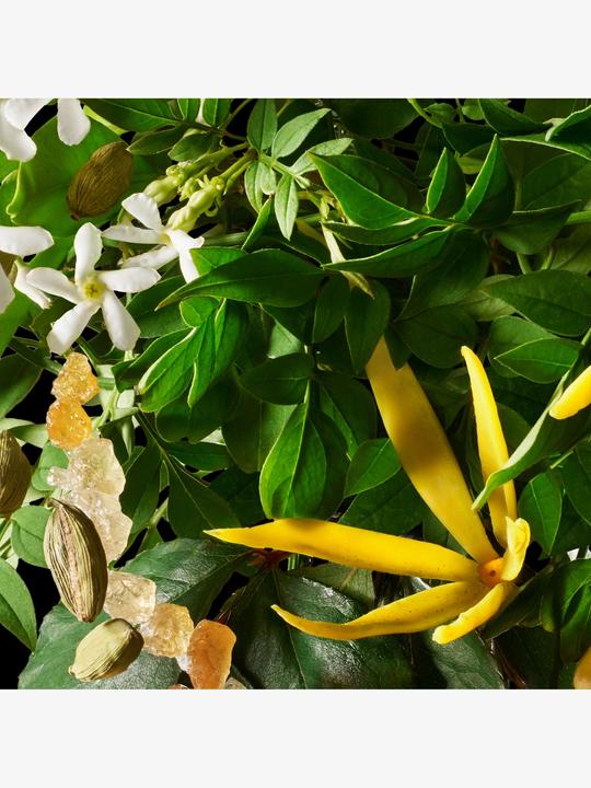 Actual product image Molton Brown Relaxing Ylang-Ylang Body Lotion (Body lotion, 300 ml)