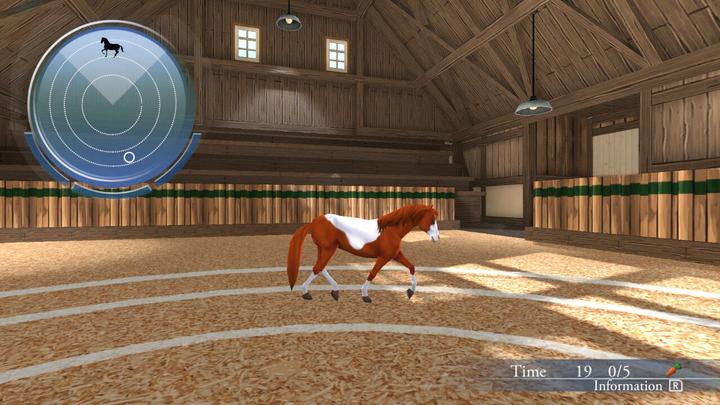 Actual product image FunBox Media My Riding Stables : Life with Horses (PS4)