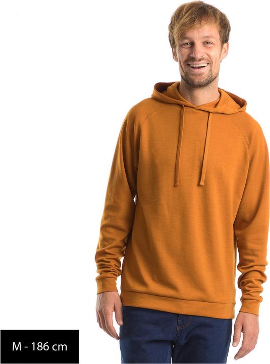 Produktbild Stoic Merino260 MMXX.Göteborg Hoody (S)