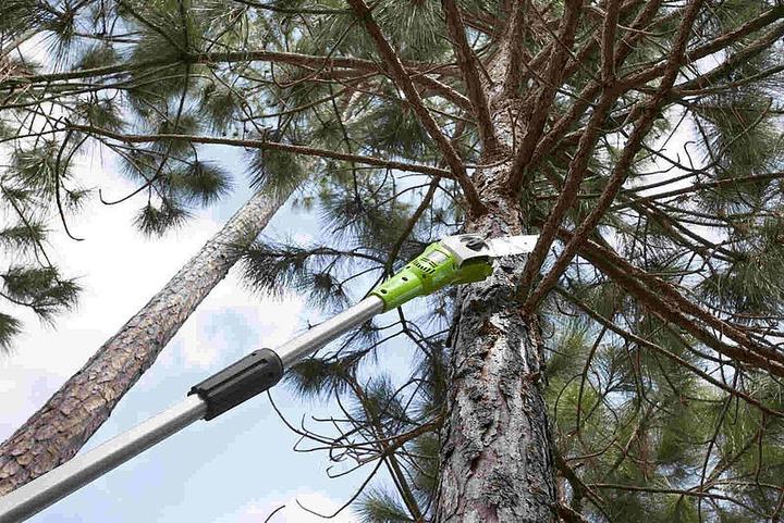Actual product image Greenworks Cordless pole pruner G40PSF (without battery) (Battery chain saw)