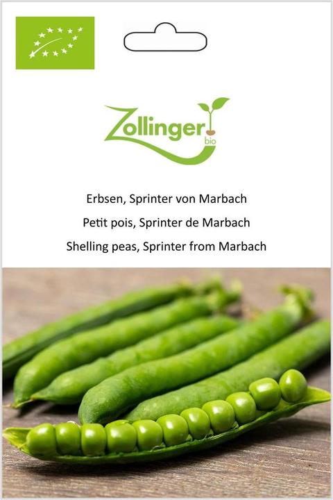 Produktbild Zollinger Bio Erbsen, Sprinter von Marbach (Keimlinge)