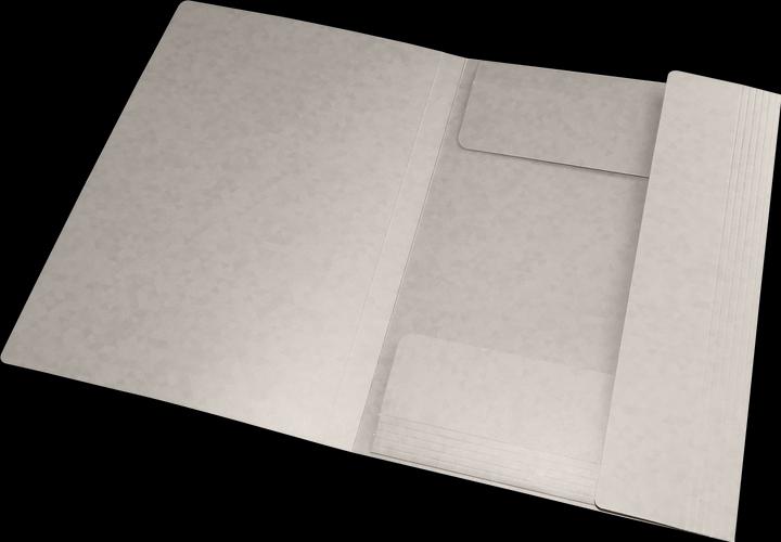 Immagine prodotto Oxford Raccoglitore angolare TOP FILE+, A4 (A4, 1 x)