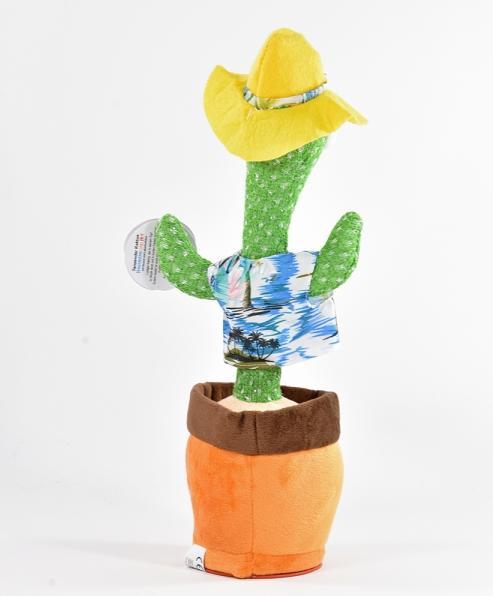 Immagine prodotto Kögler Cactus danzante (34 cm)