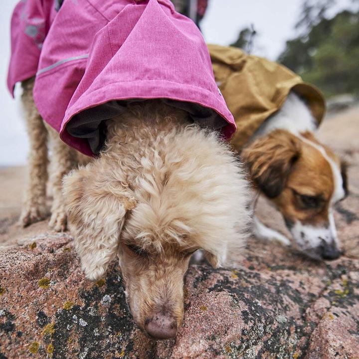 Actual product image Hurtta Monsoon V2 Eco green mackintosh, 60 cm (60, Dog raincoat)