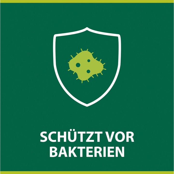 Productafbeelding Palmolive Hygiene Plus Keuken Handzeep (Vloeibare zeep, 300 ml)