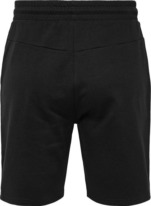 Actual product image hummel Hmlicons Regular Shorts (L)
