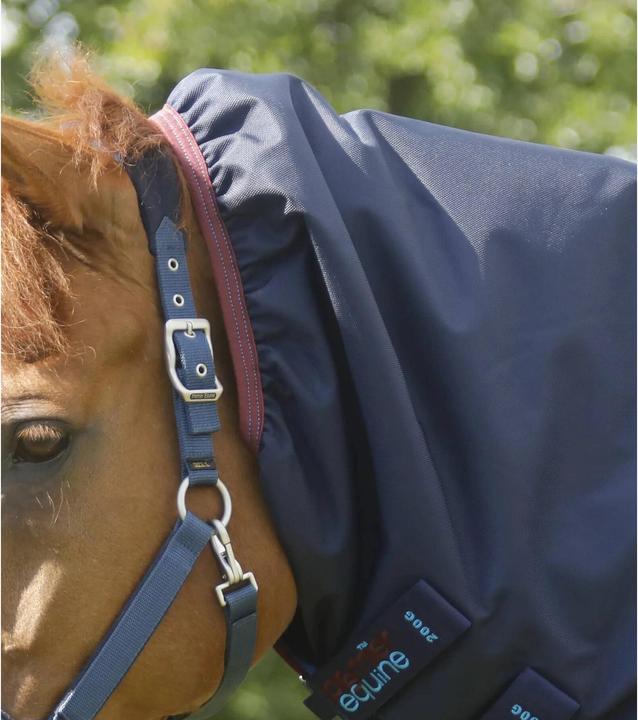 Produktbild Premier Equine Titan Storm 200 g