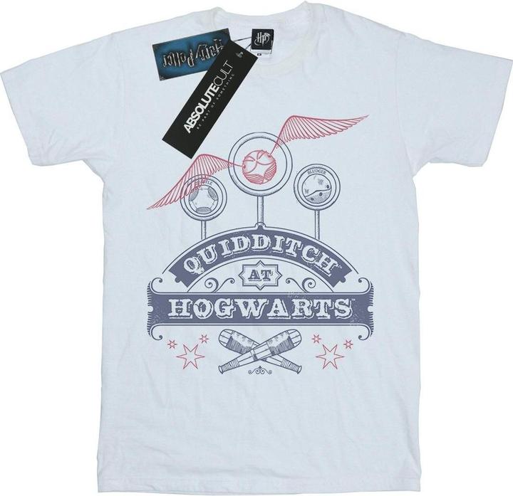 Quidditch At Hogwarts Boyfriend Fit TShirt (3XL)