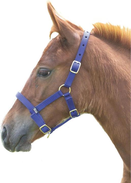 Immagine prodotto Shires Cavezza per puledri