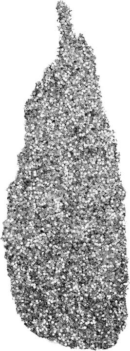 Image du produit NYX Professional Make-Up Paillettes pour le visage et le corps (Silver, Highlighter, 2.50 g)