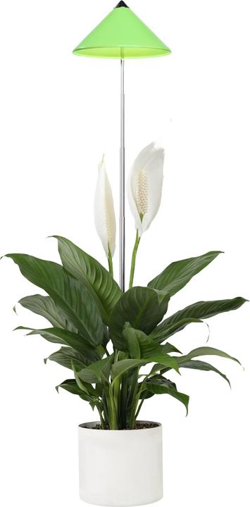 Produktbild Colibri Sunlite (LED, 230 V)