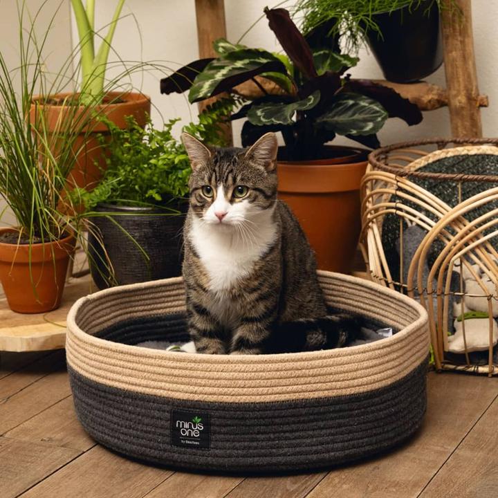 Image du produit Beeztees Xana (Chat)