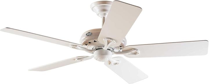 Hunter Savoy ceiling fan (36 dB)