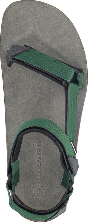 Actual product image Lizard Super Hike (48)