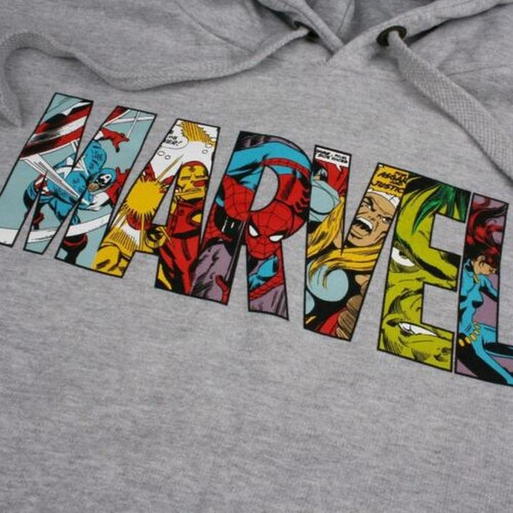 Produktbild Kapuzenpullover Logo (XL)