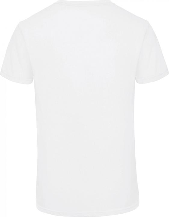 Actual product image B&C Triblend (XL)