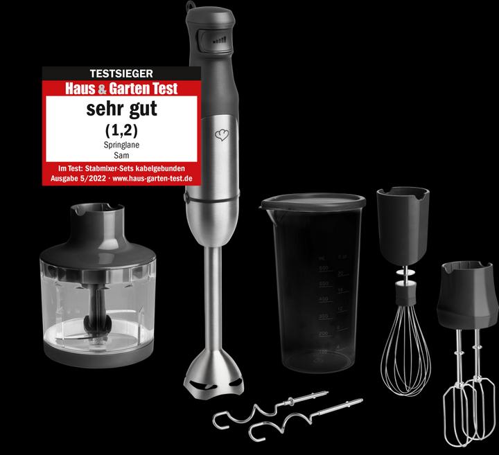Actual product image Springlane Sam (CH plug)