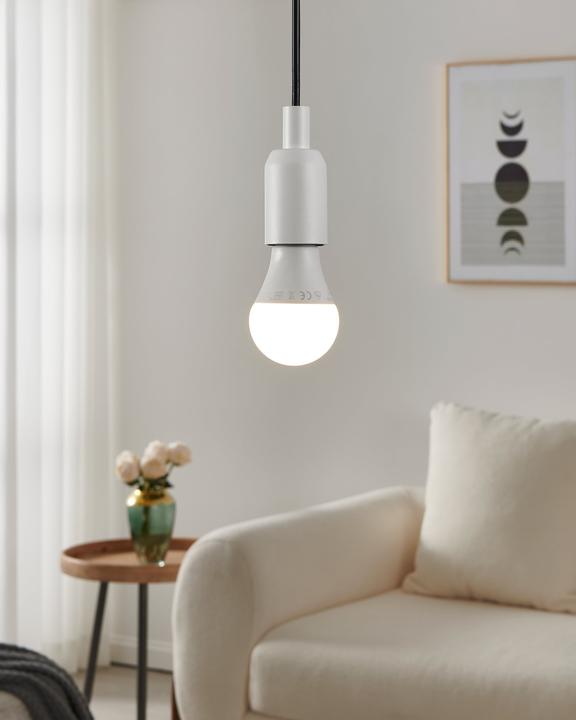 Actual product image EGLO Illuminant (E27, 11 W, 1055 lm, 1 x, F)