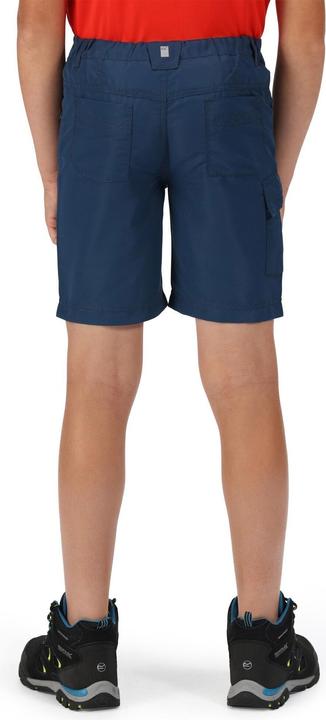 Actual product image Regatta Sorcer Ii Shorts (146)
