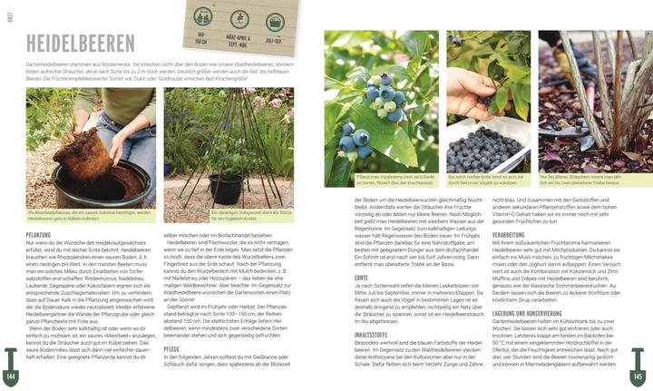 Produktbild Ackerhelden - Biogärtnern für Einsteiger (Deutsch, Ackerhelden GmbH, 2022)