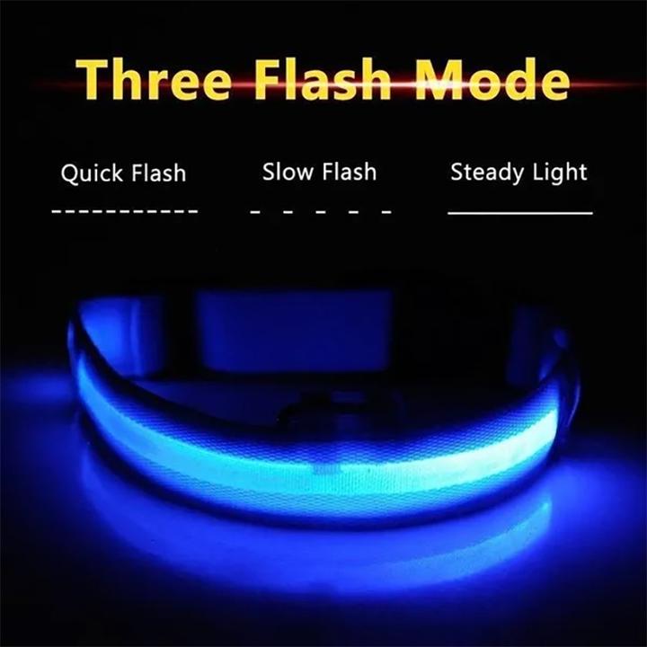 Actual product image Cbx Rechargeable LED dog collar size L - 46-50cm (L, Dog)