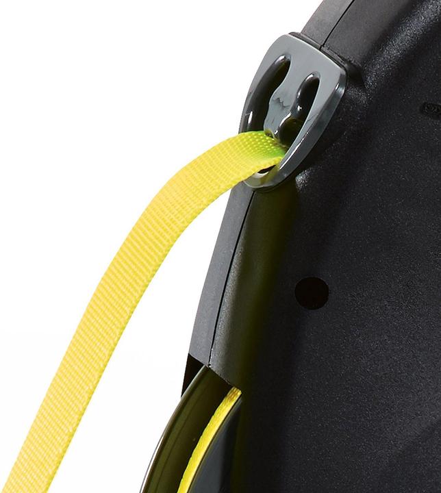Actual product image Flexi Giant (M, Dog, Walks)