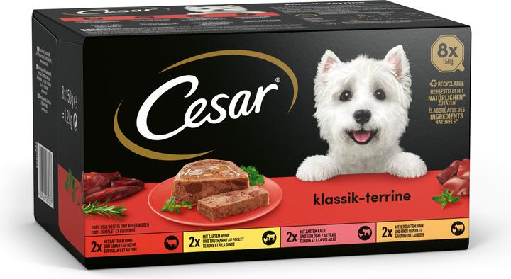 Cesar Klassiker in Terrine (Adult, 8 Stk., 150 g)