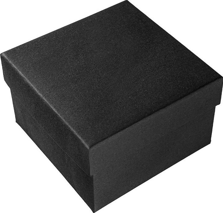 Perfect Glatte Uhrenbox – Schwarz
