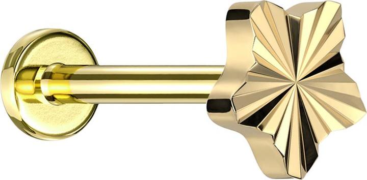 Star Piercing Micro Labret Innengewinde vergoldet Diamantschliff Scheibe Stern vergoldet (Titan G23, ohne Messing)