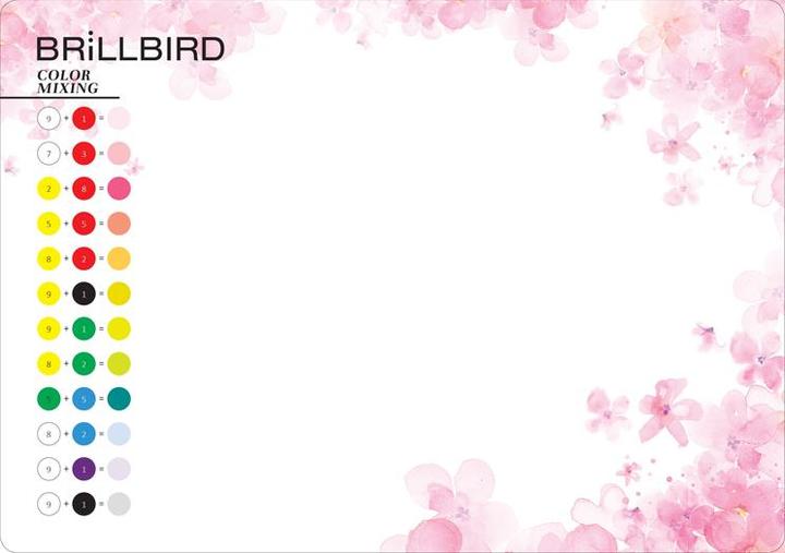 Produktbild BrillBird Nail Art Mixing Blatt