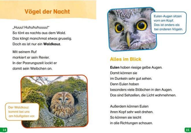 Actual product image Tessloff WAS IST WAS Erstes Lesen easy! Band 17. Tiere in der Nacht (German, Sonja Meierjürgen, 2024)