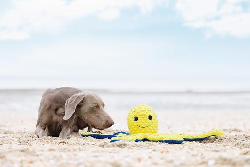 Image du produit Beeztees Pieuvre Amy (Jouet en peluche chien)