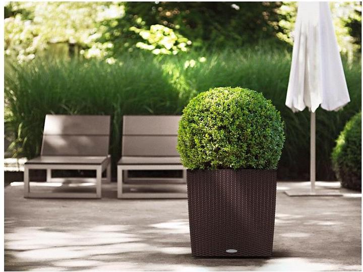 Produktbild Lechuza Cube Cottage (49 cm)