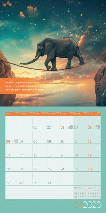Actual product image Alles wird gut! Kalender 2026 - 30x30 (30 x 30 cm, Hardcover, French, English)