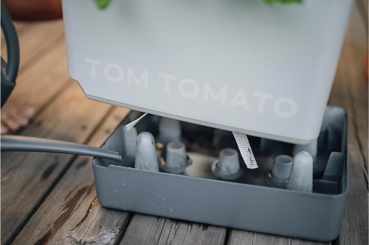 Productafbeelding Gusta Garden Tomaat (35 cm)