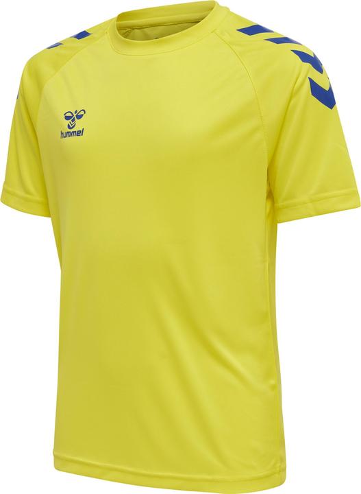 blazingyellowtrueblue