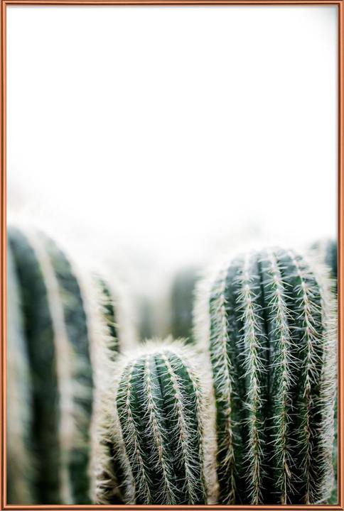 Produktbild Juniqe Cactus 1 (13 x 18 cm)