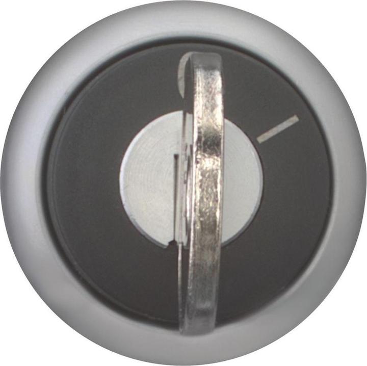 Immagine prodotto Eaton Key selector, 2-pos, '0-I'
