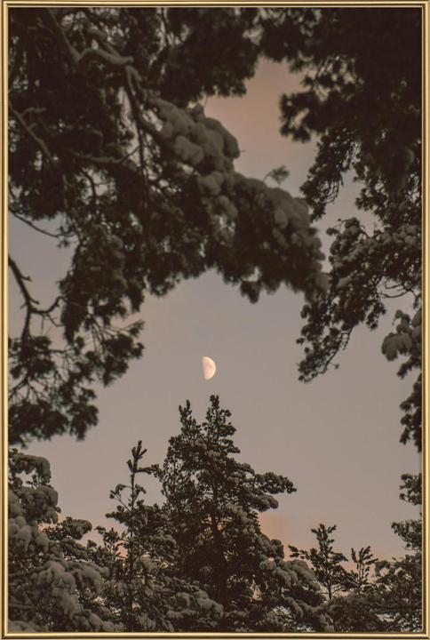 Immagine prodotto Juniqe La Luna (13 x 18 cm)