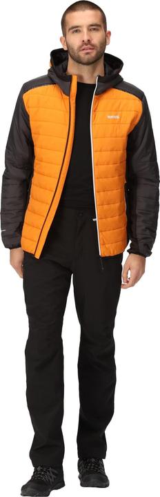 Produktbild Regatta Trutton II Steppjacke (M)