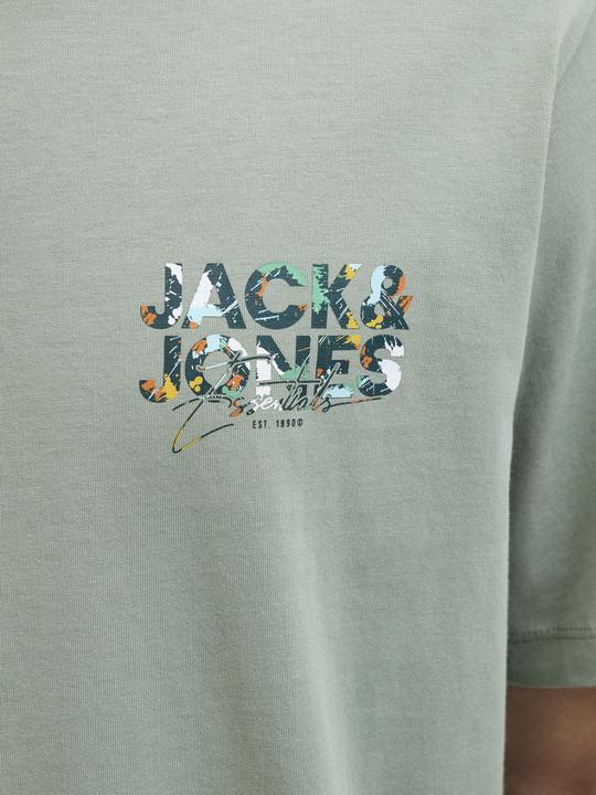 Actual product image Jack & Jones Jjgeplas Tee Ss Crew Neck Ln (XXL)