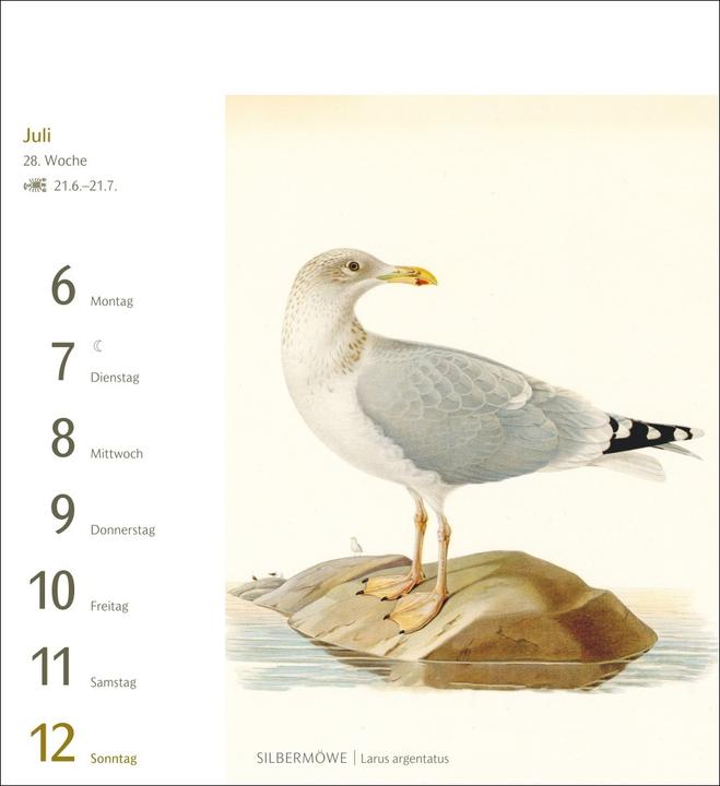 Actual product image Harenberg Vögel Postkartenkalender 2026 - Postkartenkalender mit 53 historischen Zeichnungen (Hardcover, German)