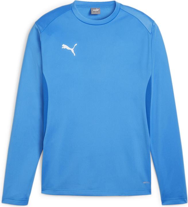 Puma teamGOAL Training Sweat