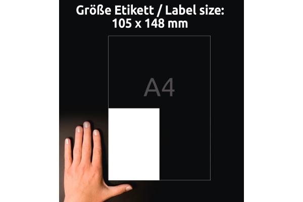 Image du produit Avery AVZ L8003-10 Étiquettes antimicrobiennes 105x148mm blanc