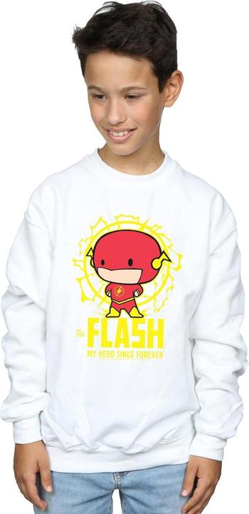 Immagine prodotto Flash My Hero Since Forever Felpa Ragazzi (140, 146)